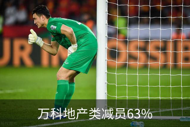 万科地产类减员63%