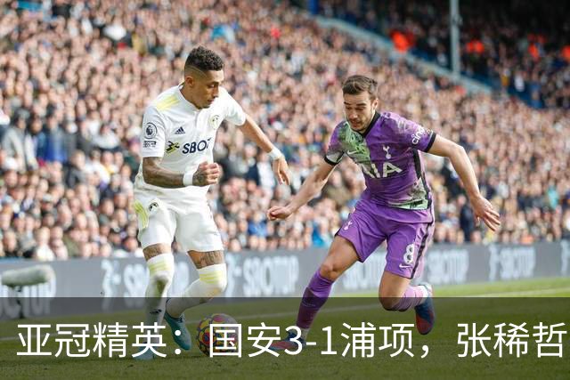 亚冠精英：国安3-1浦项，张稀哲传射，国安两新外援破门