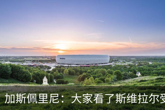 加斯佩里尼：大家看了斯维拉尔受伤视频就会纳闷“这都能伤”