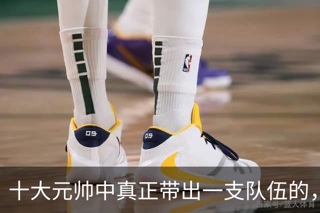 十大元帅中真正带出一支队伍的，仅两个半，他们被称为老总！