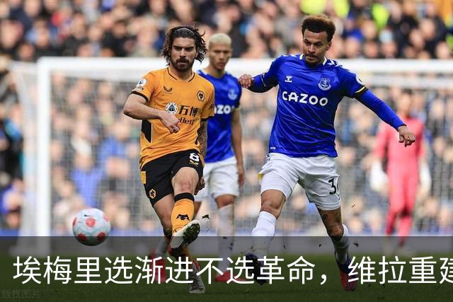 埃梅里选渐进不选革命，维拉重建走另一条路