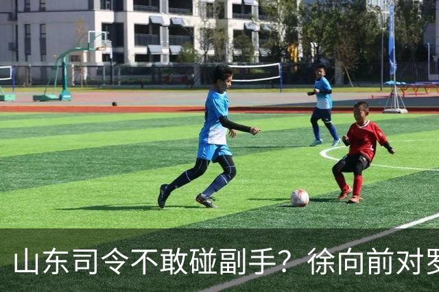 山东司令不敢碰副手？徐向前对罗荣桓一令不发，主席连换三将才破局