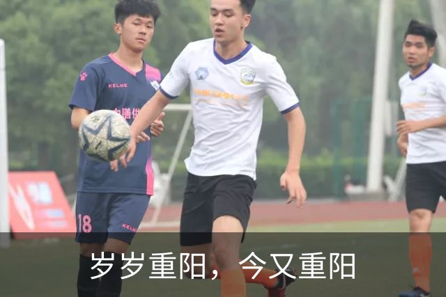 岁岁重阳，今又重阳