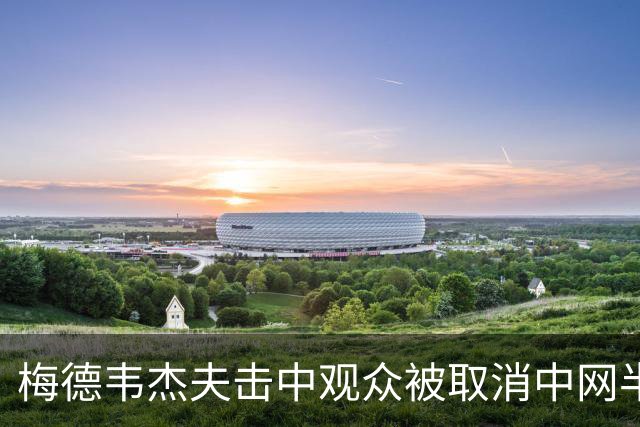 梅德韦杰夫击中观众被取消中网半决赛资格