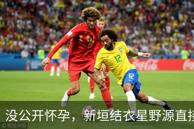 没公开怀孕，新垣结衣星野源直接宣布首胎出生