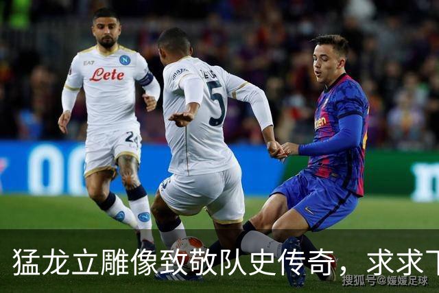 猛龙立雕像致敬队史传奇，求求下次做个人吧