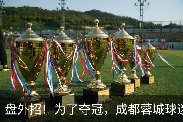 盘外招！为了夺冠，成都蓉城球迷计划干扰大连英博，手段太不光彩