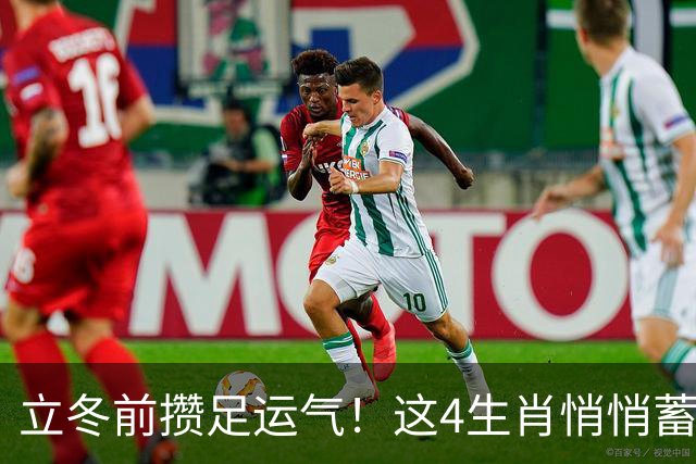 立冬前攒足运气！这4生肖悄悄蓄力，明年日子红火，有你家吗？