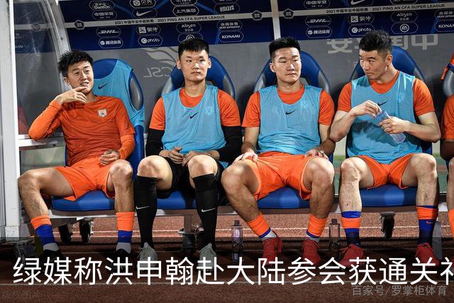 绿媒称洪申翰赴大陆参会获通关礼遇，未从“港澳台抵达出口”入境