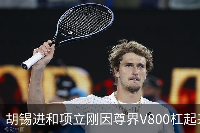 胡锡进和项立刚因尊界V800杠起来了：项立刚建议人人买一辆，支持民族企业！胡锡进认为企业底线要守住