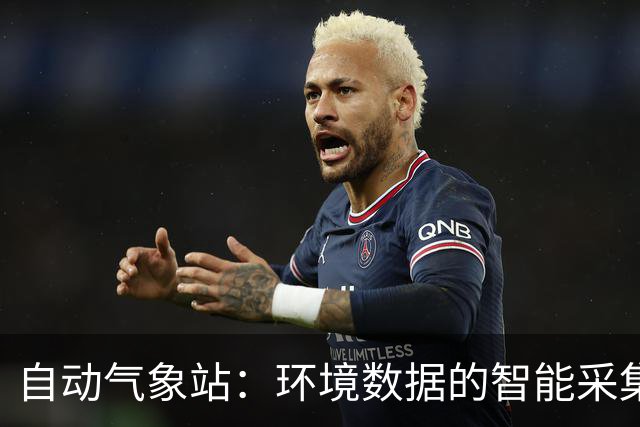 自动气象站：环境数据的智能采集与传输