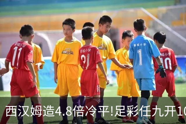 西汉姆造4.8倍冷平!足彩任九开1043注10334元