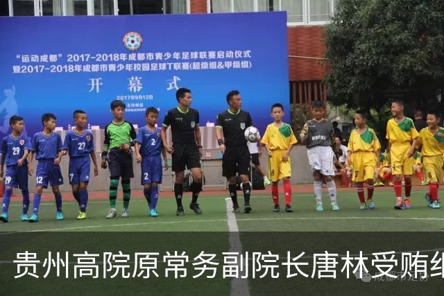贵州高院原常务副院长唐林受贿细节曝光：一份“电冰箱市场调查报告”值330万