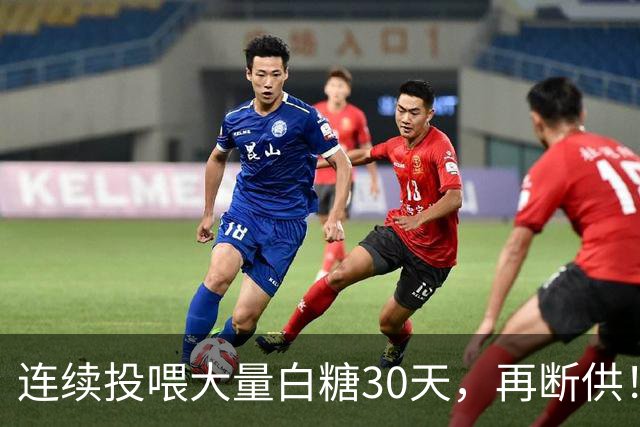 连续投喂大量白糖30天，再断供！国外网红扮“蚂蚁天神”整蛊野生蚁群