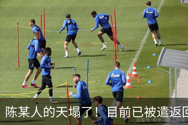 陈某人的天塌了！目前已被遣返回国